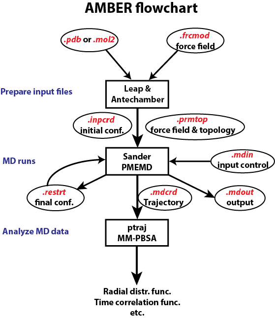 Amber Flowchart